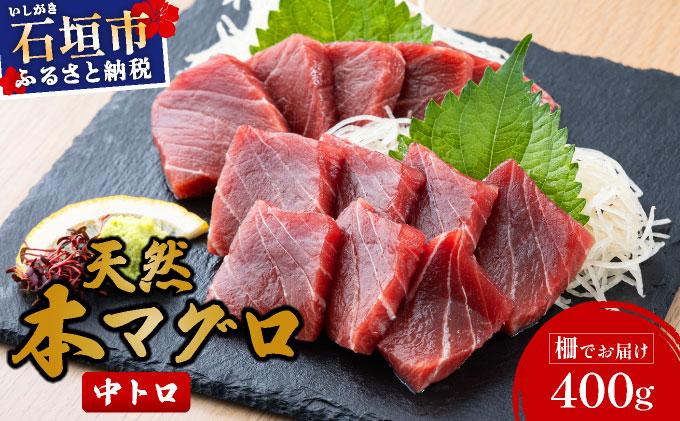 【数量限定】石垣島産 天然本マグロ 中トロ 約400g ヤエスイ ＜2025年6月下旬より発送＞ | 産地直送 中トロ 中とろ 国産 まぐろ 鮪 天然 赤身 魚 お刺身 本まぐろ マグロ 沖縄県 沖縄 琉球 八重山 八重山諸島 石垣島 石垣 石垣島産