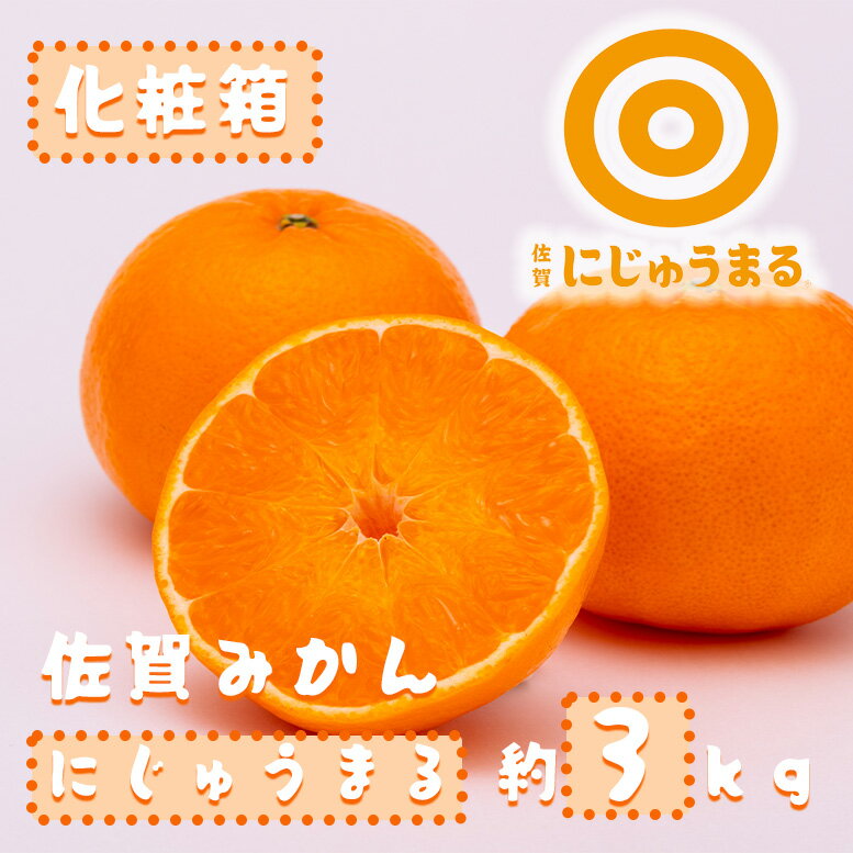 【ふるさと納税】にじゅうまる約3kg化粧箱（DV219）