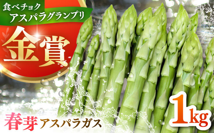 
                  身体にやさしい こだわり 春芽 アスパラガス 約1kg【ひがじま農園】  佐賀県 白石 [ICW001]
                