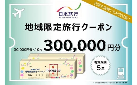 
佐賀県佐賀市 日本旅行 地域限定旅行クーポン300,000円分：D100-004
