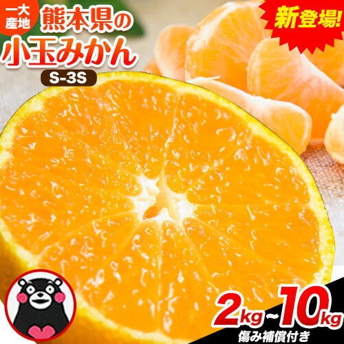 【ふるさと納税】訳あり みかん 小玉みかん くまもと小玉みかん 2kg 5kg 10kg 秋 旬 不揃い 傷 ご家庭用 SDGs 小玉 たっぷり 熊本県 産 S-3Sサイズ フルーツ 旬 柑橘 熊本県産 温州みかん《10月中旬-12月末頃出荷》