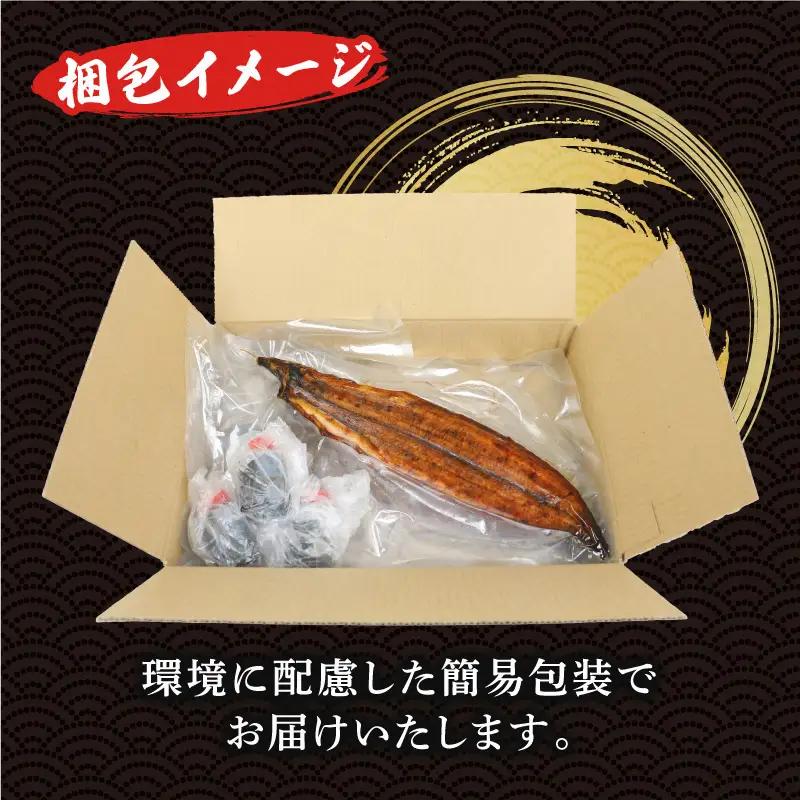 うなぎ蒲焼き170g~180g×3尾河野鮮魚店(蒲焼たれ3袋付)【D038-177004】