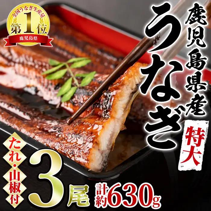 東串良町のうなぎ蒲焼(無頭)(3尾・計約630g・タレ、山椒付)【アクアおおすみ】