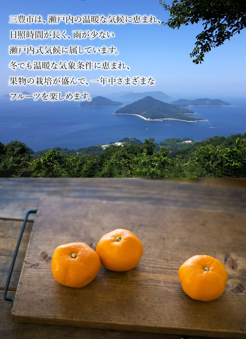 【ふるさと納税】【配送不可地域：北海道・沖縄県・離島】三豊市産　極上【マル曽　早生みかん約5ｋｇ】S〜Mサイズ  秋 旬