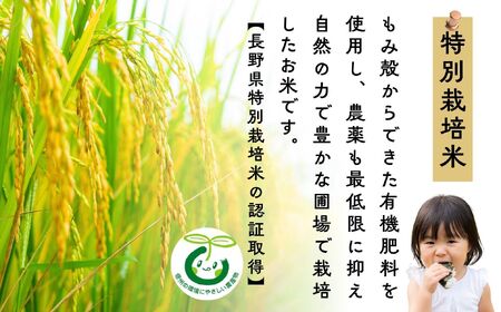 【先行予約】 [ 令和7年産 新米 ] 特別栽培米 『奥信濃の棚田米 実の里』 こしひかり 精米 2㎏ (7-18B) 　長野県 飯山市 おすすめ ランキング おいしい 高評価 大人気 こしひかり