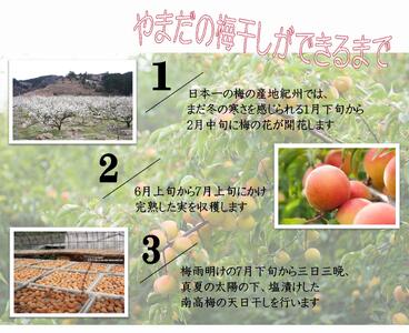 紀州南高梅 「花」 塩分約6％ 850g ［YM8m］ A-246