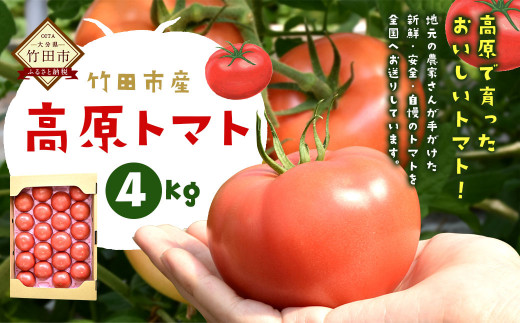 
【2024年5月下旬より発送開始】【竹田市産】高原トマト 4kg (約16～24個) 【ベジスタとまとちゃん】
