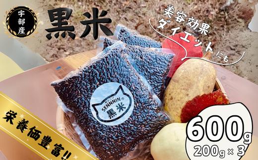 宇部市産 黒米 200g × 3袋　[600g] 【黒米 山口県産 宇部市 おくのむらさき 天日干し 手植え米 健康食材 米 ご飯 霜降山 自然農法 美味しい黒米 栄養豊富 モチモチ黒米 和食用米 雑穀ご飯 雑穀米 美容米 お取り寄せ米】