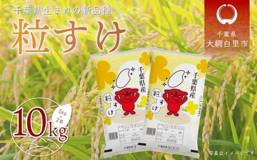 【先行受付】令和7年産 千葉県産「粒すけ」10kg（5kg×2袋） お米 10kg 千葉県産 大網白里市 粒すけ 米 精米 こめ 送料無料 A006