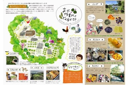 あや作業所のハーブティセット　農薬・化学肥料不使用（43-15）