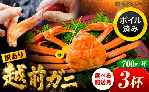 【先行予約/1月配送】訳アリ 脚折れあり 越前がに 700ｇ×3ハイ 小浜市 / まるほ商店【配送不可地域：北海道・沖縄・離島】 [BFCS067]