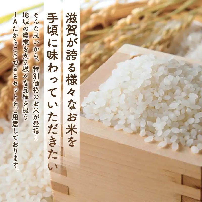 滋賀県産 ブレンド米 10kg 令和7年産 近江米 訳あり ブレンド 簡易包装