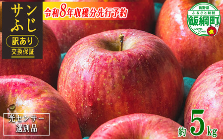 【 感謝りんご / 光センサー選別品 】 りんご サンふじ 訳あり 5kg （ 12玉 〜 25玉 ） 交換保証 ながの農業協同組合 2026年12月上旬頃から2027年1月下旬頃まで順次発送予定 令和8年度収穫分 傷 不揃い リンゴ 林檎 果物 フルーツ 信州 長野 予約 長野県 飯綱町 [1211]