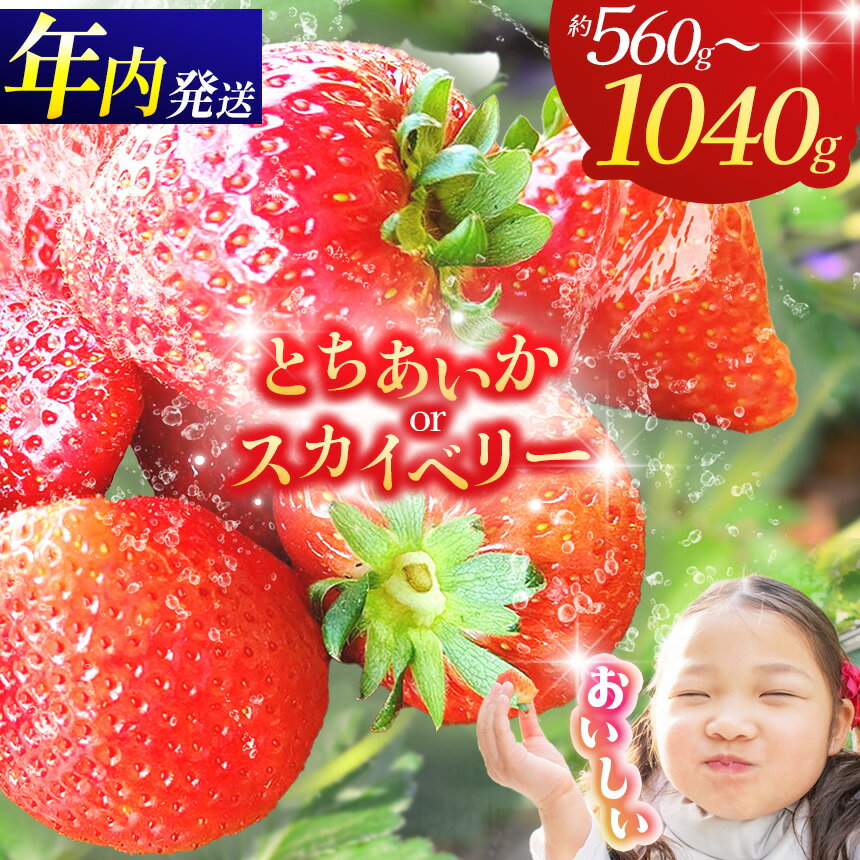 【ふるさと納税】 いちご 選べる 定期便 とちあいか スカイベリー 先行予約 260g×4P 280g×2P 1040g 560g| 栃木県共通返礼品 果物 くだもの 苺 イチゴ いちご とちあいか 新鮮 甘い 数量 限定 美味しい 果物 年始発送 フルーツ デザート 栃木県 那珂川町 送料無料