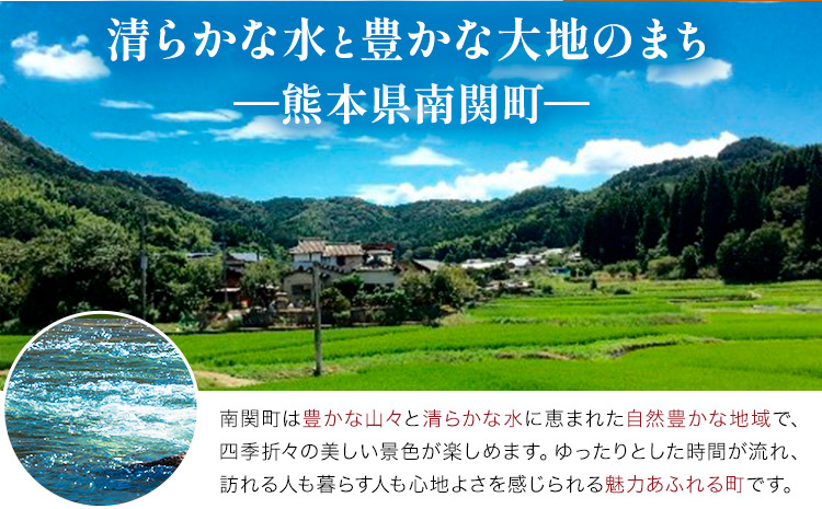 ＼米ぬか付き／先行受付 令和9年産 特選生たけのこ 食べ比べ 2kg×2回《3月中旬-4月中旬頃出荷》熊本県産 南関 タケノコ 筍 竹の子 掘りたて 採れたて 春 野菜 国産 新鮮 炊き込みご飯 土佐