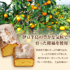 【季節の柑橘】 柑橘のパウンドケーキ アグリューム ホール 1本 みかん スイーツ 菓子 お菓子 ケーキ 焼菓子 焼き菓子 洋菓子 オレンジ 柑橘 ミカン フルーツ くだもの 果物 デザート おやつ 