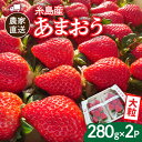 【ふるさと納税】【先行予約】(農家直送！) 糸島産 あまおう 280g×2パック (DXまたはGサイズ) 糸島市 / 後藤農園 [AML001] いちご イチゴ 苺 11000円 ギフト【2024年12月以降順次発送】