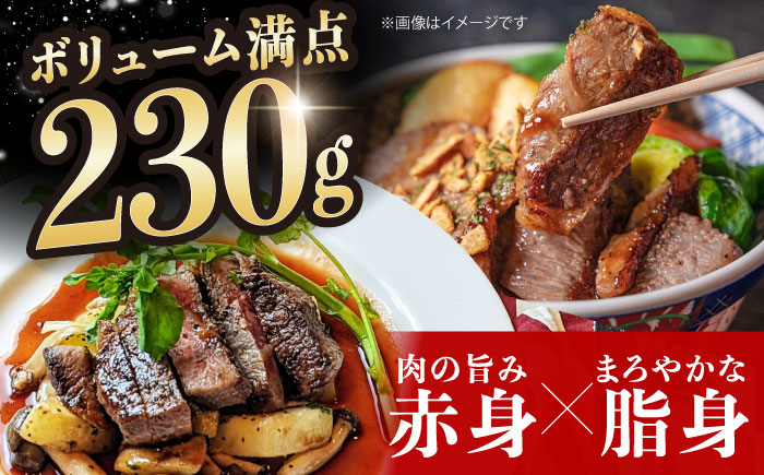 長崎和牛 サーロイン ステーキ 約230g×3枚【川下精肉店】 [OAA006] / 牛肉 冷凍 鉄板焼 長崎県産 和牛 国産牛 すてーき さーろいん にく 肉