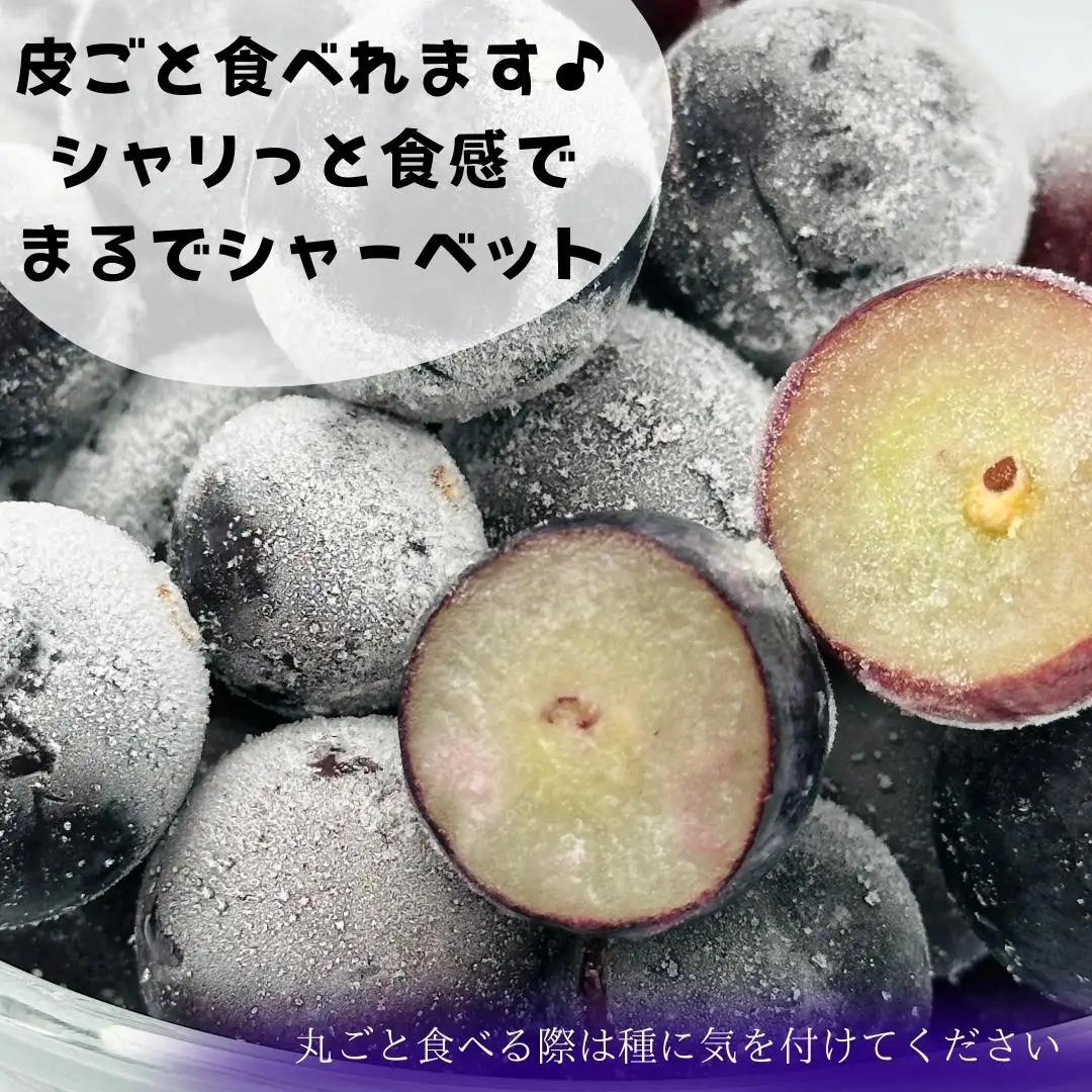 冷凍 種あり 巨峰 約500g 秀優混合 サイズミックス 和歌山県産 産地直送 ぶどう クール便  【みかんの会】  巨峰