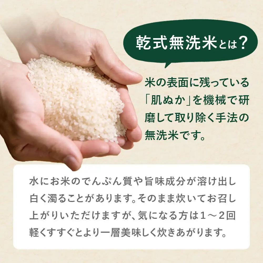 《令和8年産 新米受付》《定期便4ヶ月》【無洗米】特別栽培米 ササニシキ 5kg 秋田県産