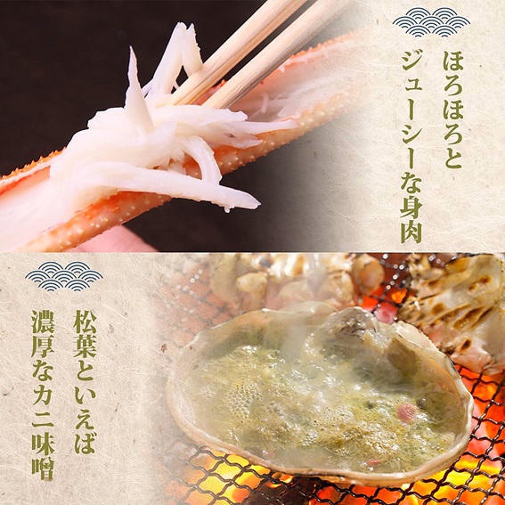 【蒸し】ご自宅用　松葉ガニ 中 3枚 / (１枚500〜640ｇ前後) ずわいがに カニ TM8 0718