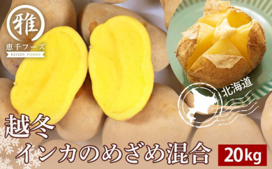 【2027年1月以降発送】越冬インカのめざめ混合　20kg