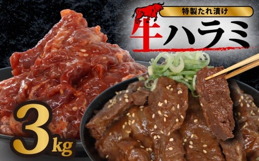 【 選べる容量 】  牛 ハラミ 秘伝のタレ 味付け 個包装 3kg 10パック 牛肉 牛ハラミ スライス タレ漬け 特製 タレ ハラミ肉 焼き肉 焼肉 ホルモン 焼肉セット 焼肉用 小分け 冷凍 BBQ バーベキュー おすすめ 人気 奈良 奈良県 奈良市 近藤精肉店