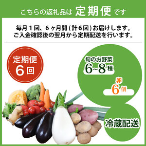 【定期便6回】【産地直送】旬のお野菜詰め合わせ 6～8種類 卵 6個付き