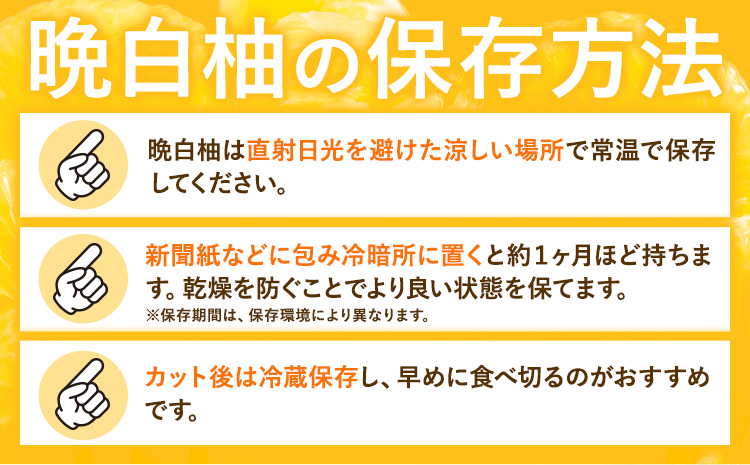 柑橘 晩白柚  3L 1玉 2.5kg 日本フルーツ株式会社《12月上旬-2月末頃出荷》熊本県 氷川町 ばんぺいゆ 果物 フルーツ 大玉 爽やか 甘み 酸味 香り 常温保存 柑橘類 冬 果肉 プリッ 