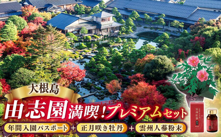 日本庭園由志園　由志園年間入園パスポート(スイート)+正月咲き牡丹(2輪咲き)+雲州人蔘粉末日本庭園由志園　島根県松江市/株式会社JU米子髙島屋[ALFD010]