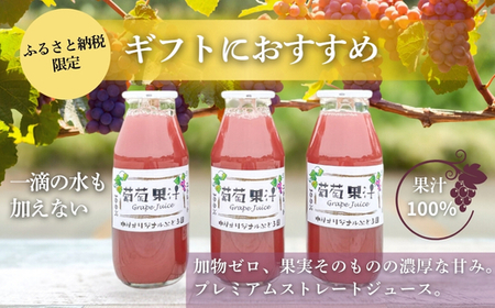 ぶどうジュース3本+ぶどうジャムおまかせ2種詰合せ 