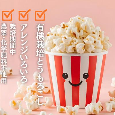 ふるさと納税 西桂町 【毎月定期便】【訳あり】おやつ!!有機栽培で作ったこだわりポップコーン2袋(1袋100g)全10回 |  | 02