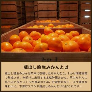 蔵出しみかん晩生｜和歌山県海南市下津町の特産品蔵出しみかんの晩生品種【2025年1月発送開始】