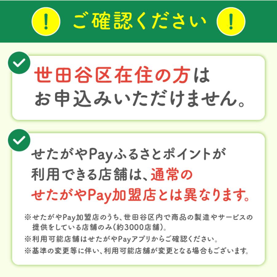 世田谷区 地域限定通貨「せたがやPay」 ふるさとポイント9000pt（1pt＝1円）9000円分