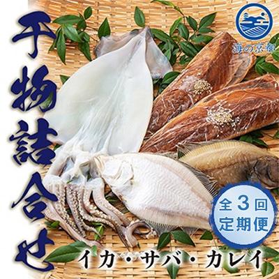 ふるさと納税 宮津市 【毎月定期便】やまいち自慢の干物詰め合わせセット全3回