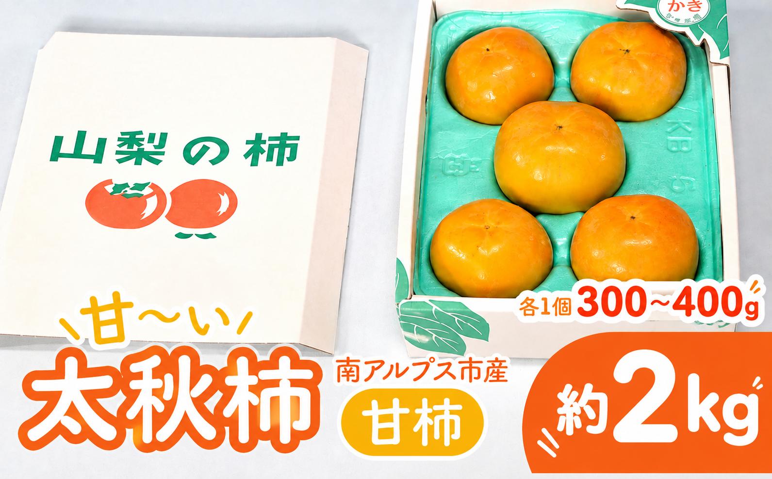 
                  ＜2026年発送＞南アルプス市産太秋柿（甘柿）2kg(1個当たり300g~400g) ALPAF014
                
