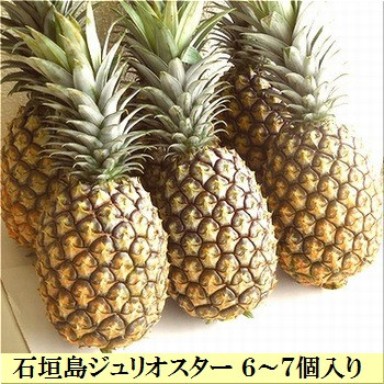 
            【先行予約】ジュリオスター大玉6個 計7.2kg 《６月上旬より順次発送》【 産地直送 沖縄 石垣 フルーツ パイナップル パイン ジュリオスター 】SI-46
          