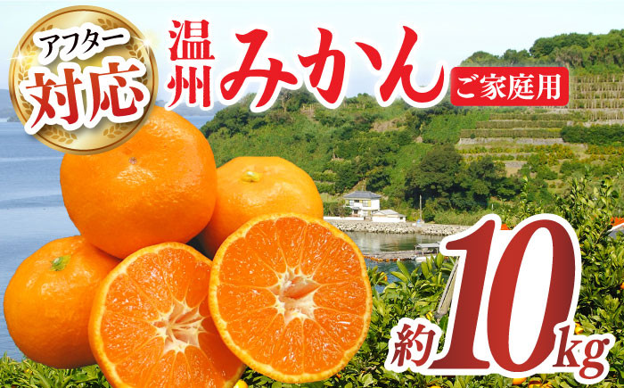 
                  【ご家庭用】みかん 約10kg（100～120個）長与町/長崎西彼農業協同組合 長与支店 [EAH003] 温州みかん ミカン 蜜柑 みかん 10kg 長崎県産 産地直送 詰合せ
                