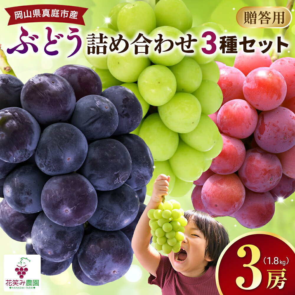 【ふるさと納税】ぶどう 岡山 彩り3種セット 贈答用（1.8kg） 【2026年の先行予約】 3M-2上 ぶどう 詰め合わせ 食べ比べ セット シャインマスカット 岡山 真庭市 フルーツ 果物 ブドウ 葡萄 人気 送料無料 産地直送 くだもの ギフト 期間限定 2026年発送