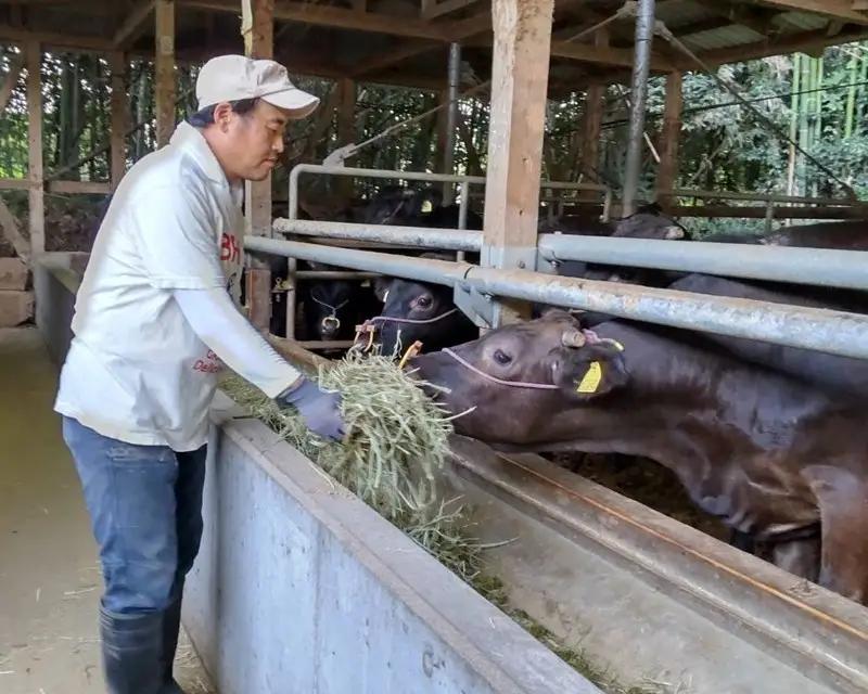 ＜なかむら謹製＞【博多和牛】黒毛和牛ロースしゃぶしゃぶ用うす切り1.2kg【J-061】