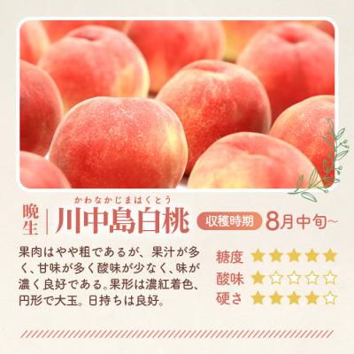 ふるさと納税 桑折町 もも【川中島白桃・2026年産先行受付】特秀　3kg　桑折町産　JAふくしま未来　桃 |  | 01