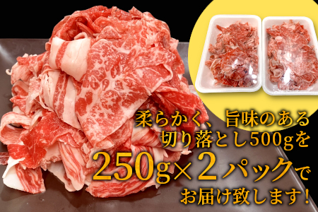 大人気商品セット★根羽こだわり和牛 切り落とし500g＆カタロース焼肉用500g