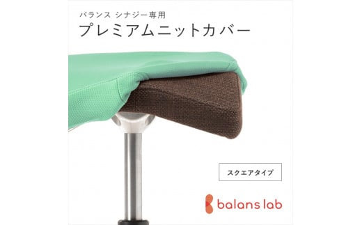 バランスシナジー専用プレミアムニットカバー（ライトグリーン）スクエアシート用 はっ水加工【 バランス シナジー カバー 大阪府 門真市 】 272230_CM004VC01