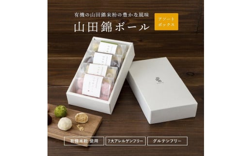 
グルテンフリー 山田錦 ボール 【箱入り4種アソート（和三盆/カカオ/抹茶/えちご姫（いちご） ）】 田田田堂 米粉 お菓子 クッキー スイーツ 小麦 乳 卵 白砂糖 不使用 アレルギー 対応 無農薬 米 ビーガン ポルボローネ
