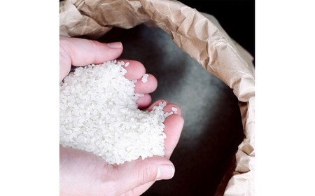 【定期便】能登島のふるさと米 コシヒカリ5kg 精米定期便 2ヶ月に1回（6回） ※2026年1月上旬～12月下旬頃に順次発送予定