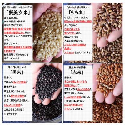 ふるさと納税 豊能町 【白米に混ぜて簡単!】国産 有機四穀米ブレンド1.5kg(250g×6袋入り) |  | 02