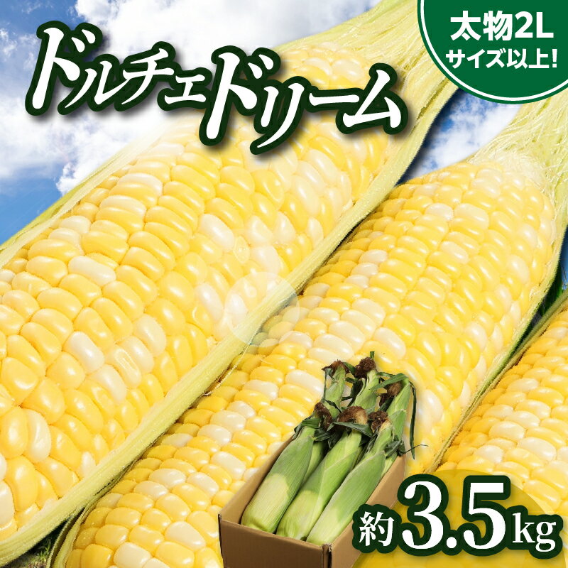 【ふるさと納税】＼寄附額改定／食べ応え抜群 太物2Lサイズ以上!ドルチェドリーム 約3.5kg【2027-6月上旬～2027-7月上旬配送】 | 太物 食べ応え抜群 大きい コーン 野菜 おうち時間 おやつ お取り寄せ 自宅用 家庭用 おすそ分け 贈り物 瀬戸内 香川県 高松市