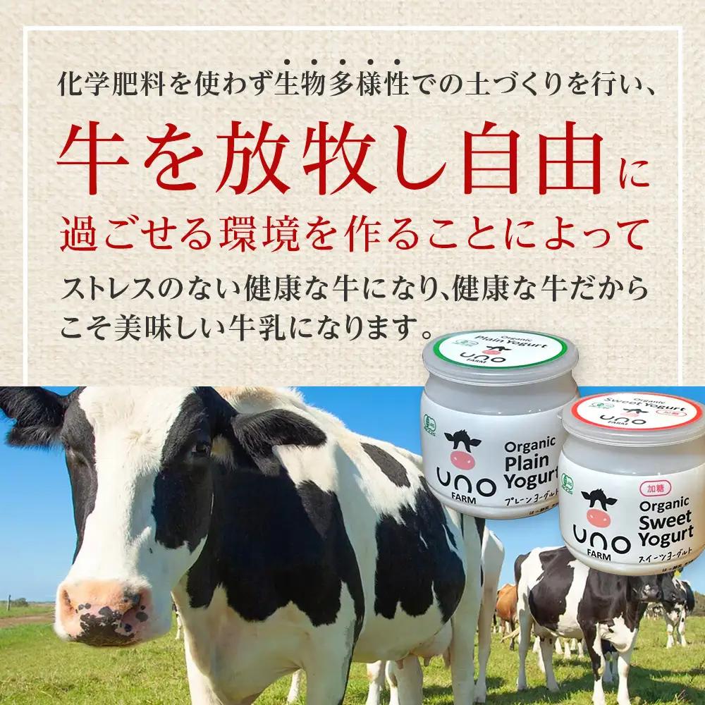 【定期便5カ月】　オーガニックプレーンヨーグルト《無糖・加糖》各3 6個セット