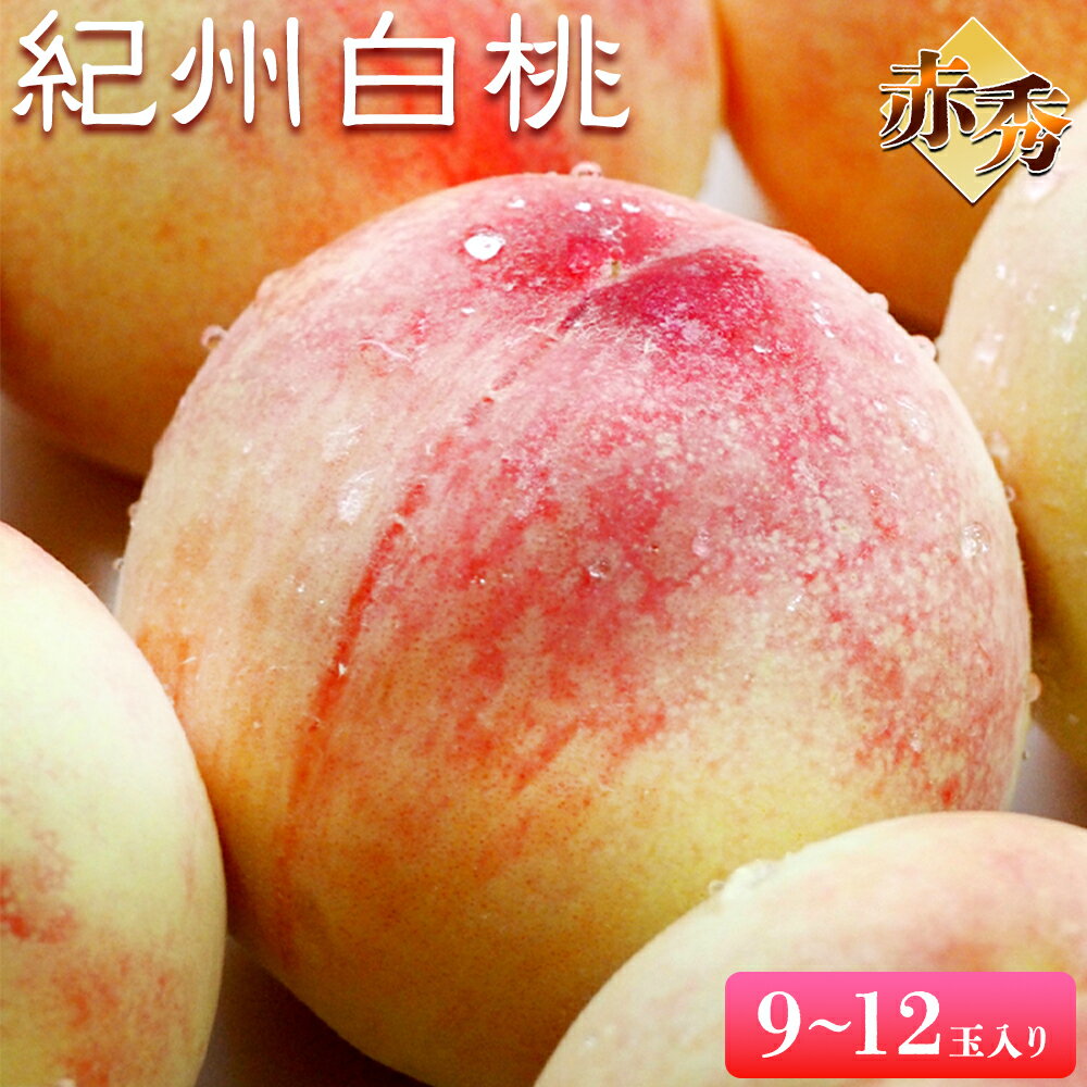 【ふるさと納税】和歌山県紀の川市産 紀州白桃(赤秀) 9-12玉入り 株式会社松源《2026年7月中旬-8月上旬頃出荷》和歌山県 紀の川市