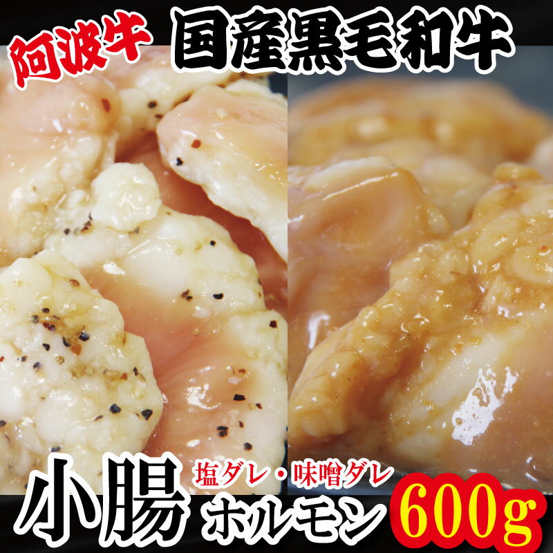 【ふるさと納税】 ホルモン 小腸 阿波牛 200g×3パック 小分け 計600g 国産 塩 味噌 牛 黒毛和牛 鍋 焼肉 脂 焼き ホソ もつ 肉 牛肉 BBQ 【北海道・東北・沖縄・離島への配送不可】